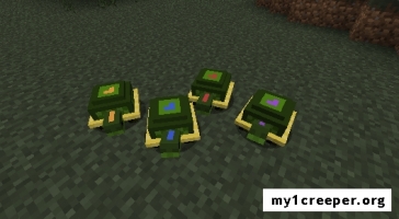 Pet turtles [1.7.10]. Скриншот №1