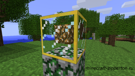 Display Cases [1.2.5]