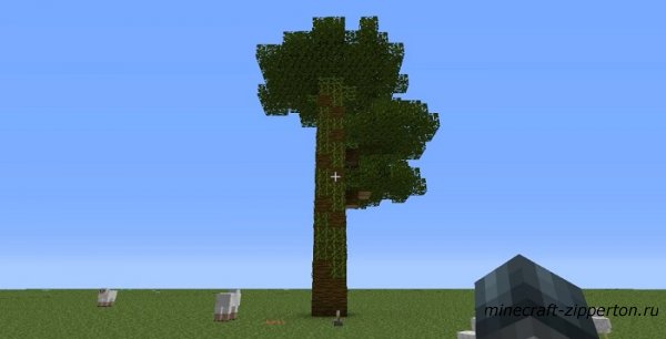 Minecraft Showcase: Скрытая дверь в дереве [карта]