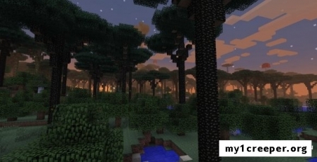 The twilight forest  [1.6.1]